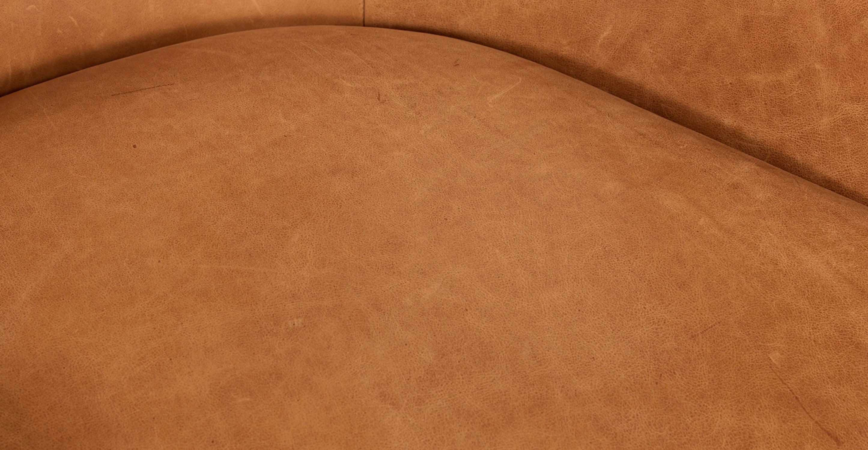Aida Lounge Chair - Image 11