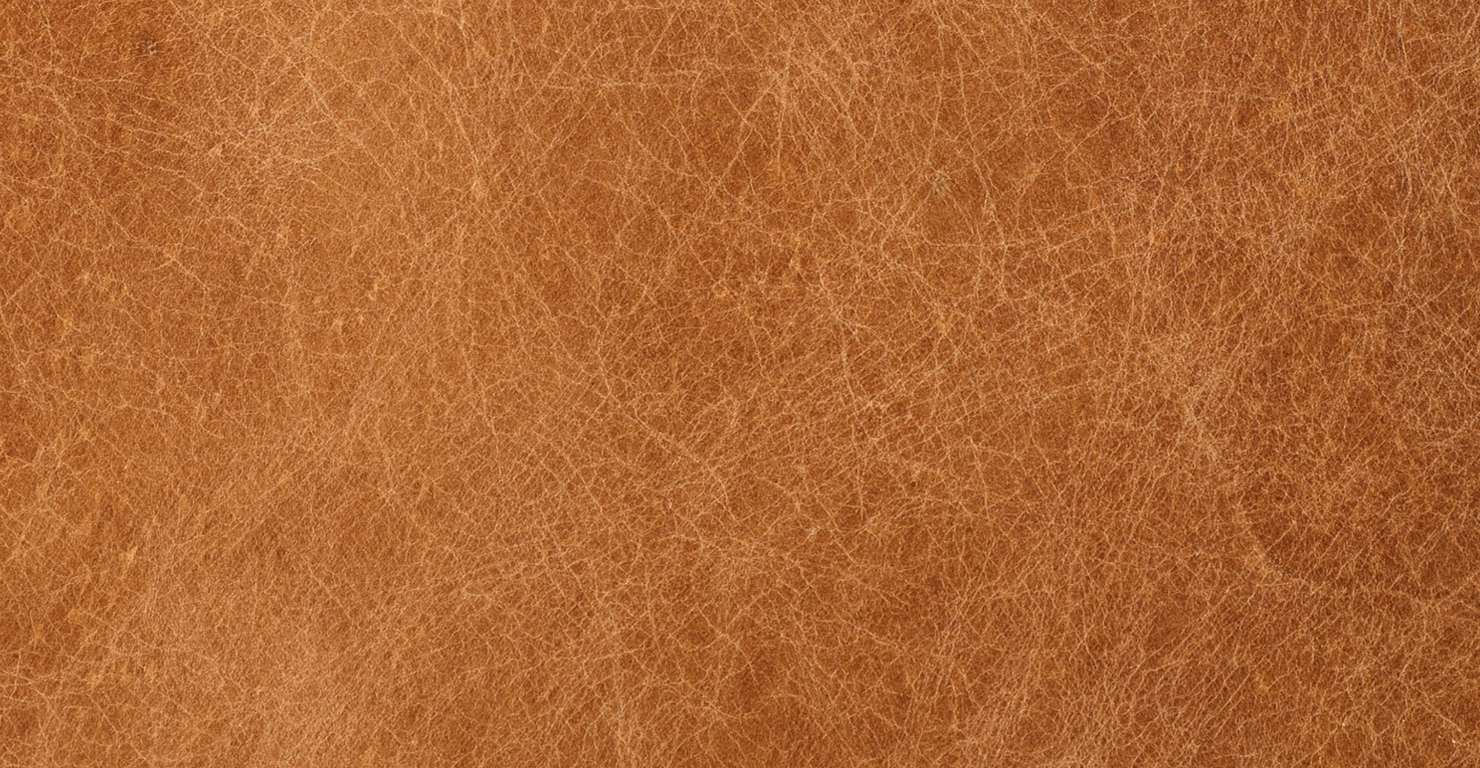 Aida Lounge Chair - Image 13