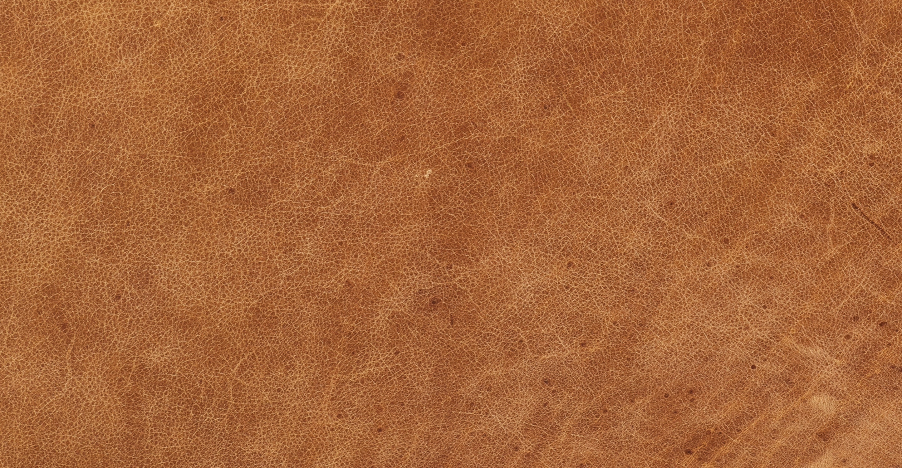 Aida Lounge Chair - Image 14