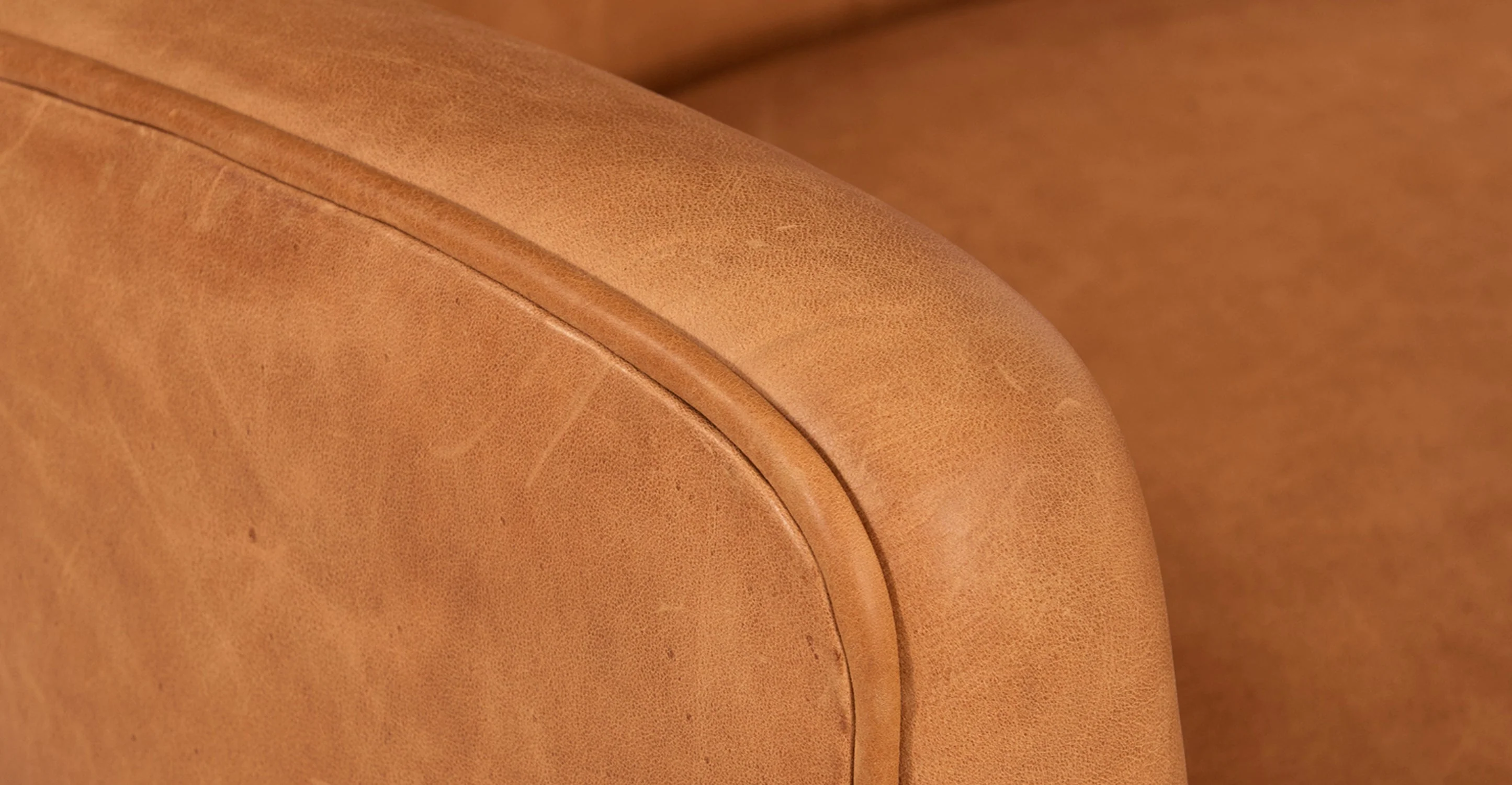 Aida Lounge Chair - Image 26