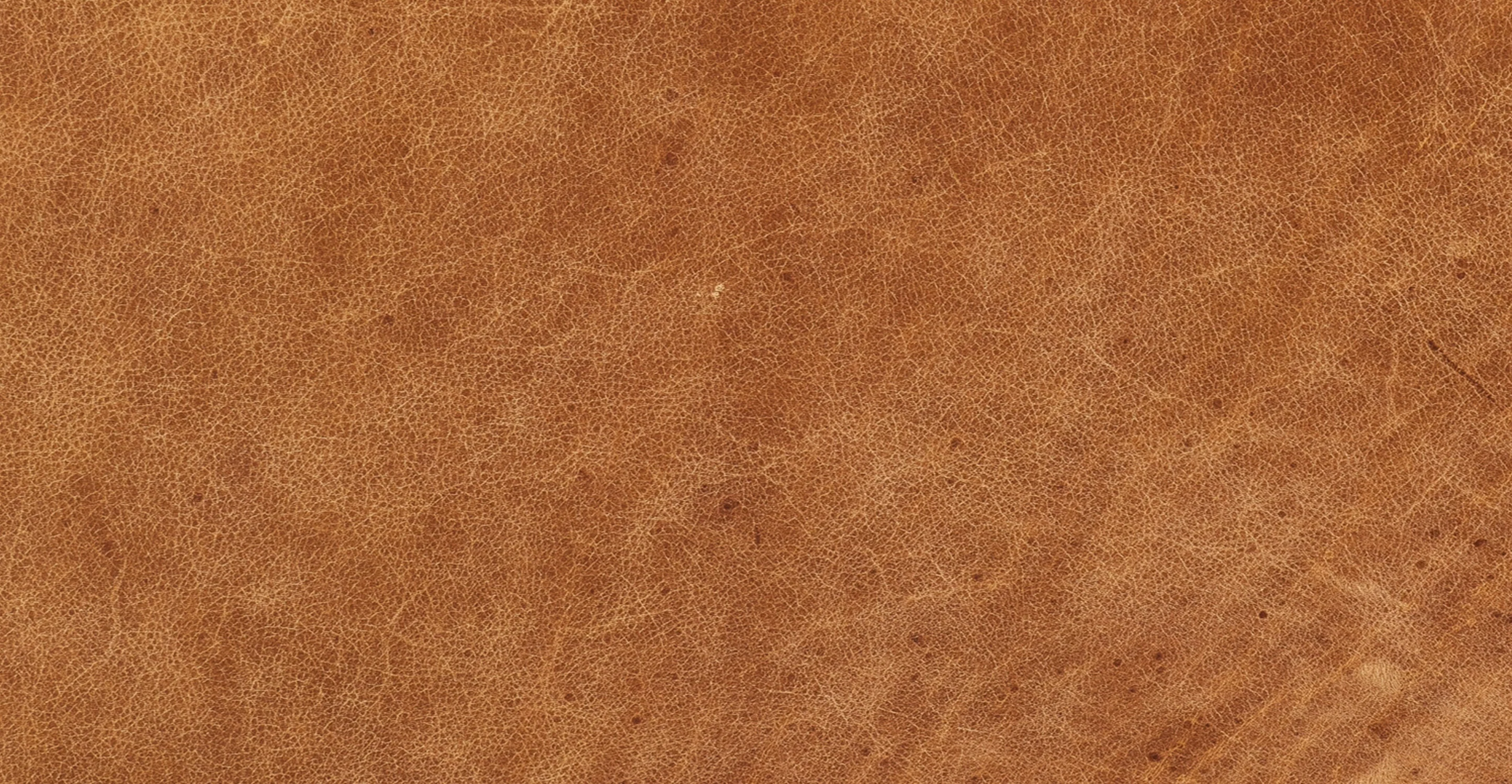 Aida Lounge Chair - Image 32