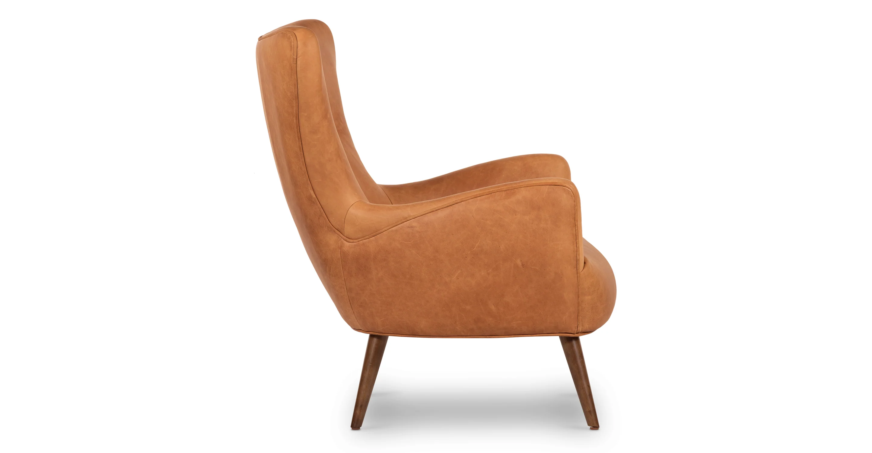 Aida Lounge Chair - Image 4