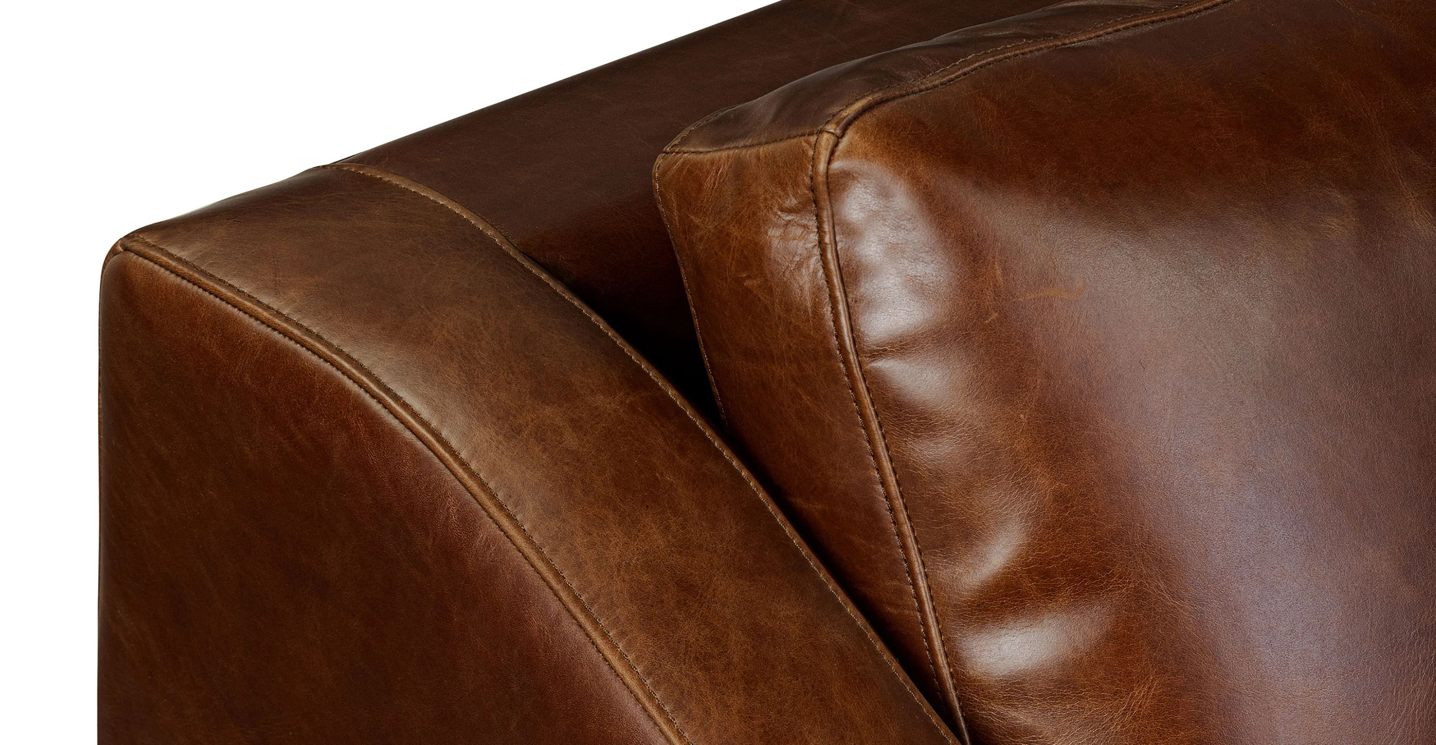 Biltmore Leather Pull-Out Convertible Sleeper Sofa - Image 11