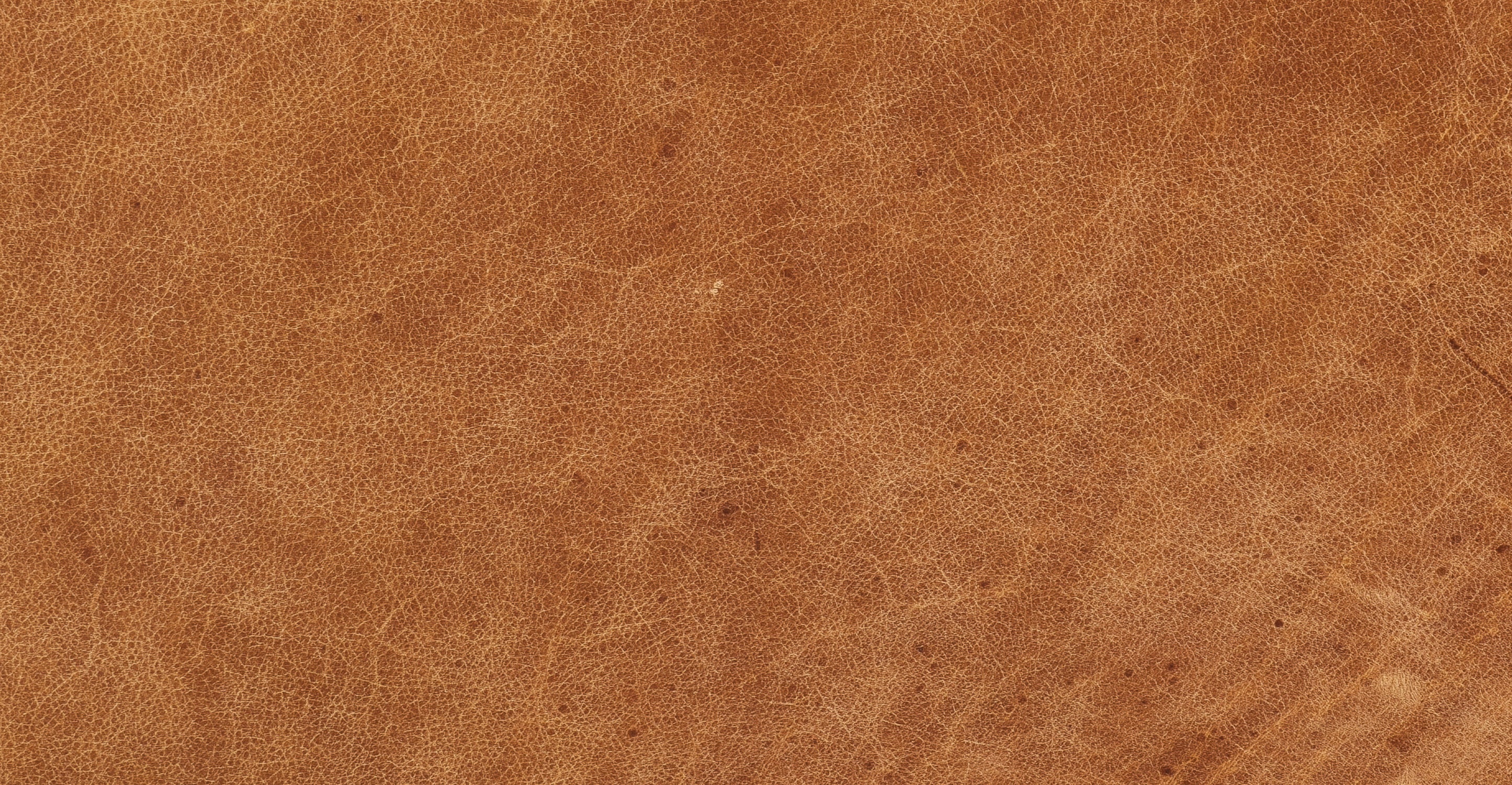 Bo Lounge Chair - Image 19