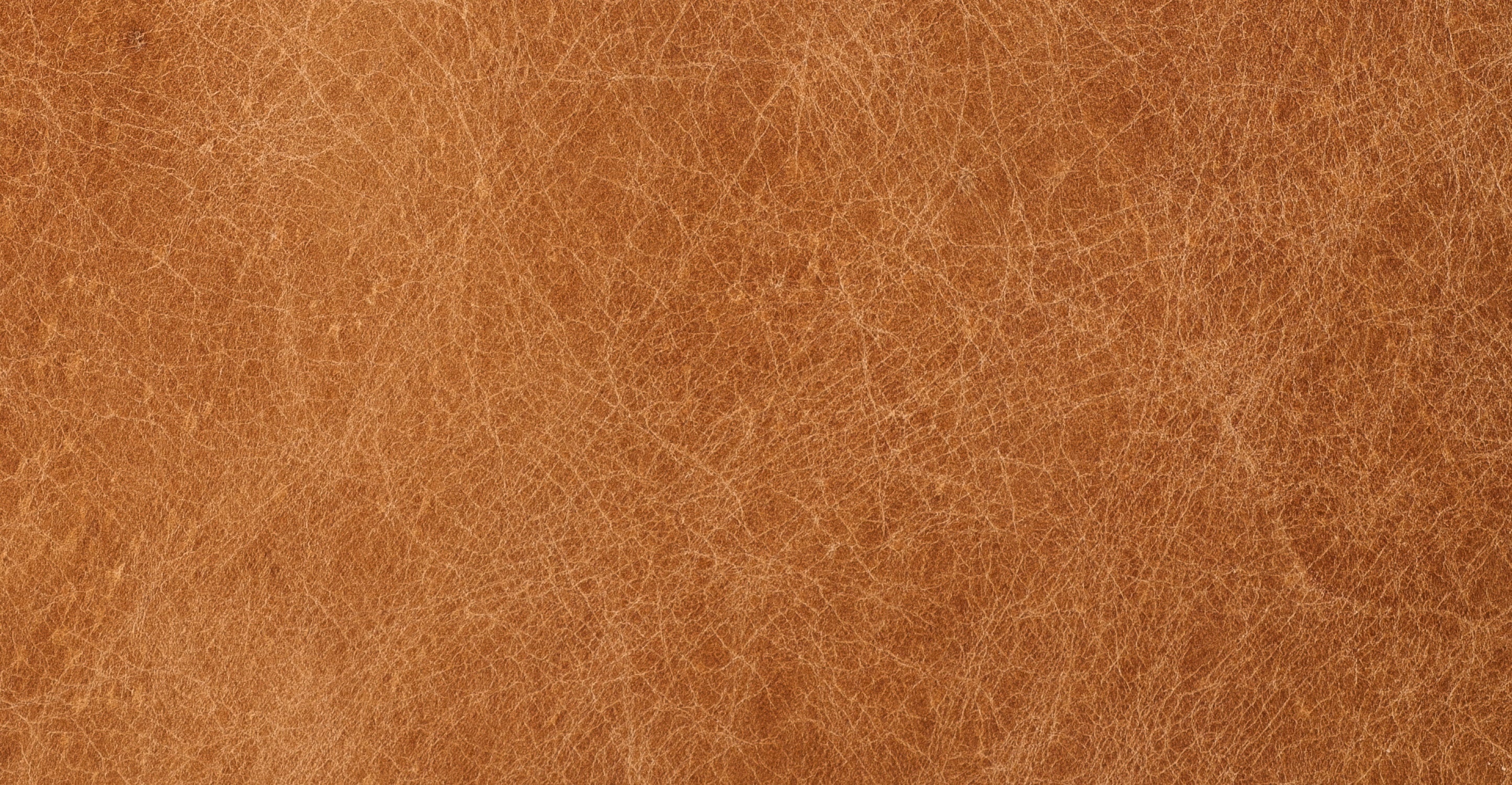 Giza Lounge Chair - Image 39