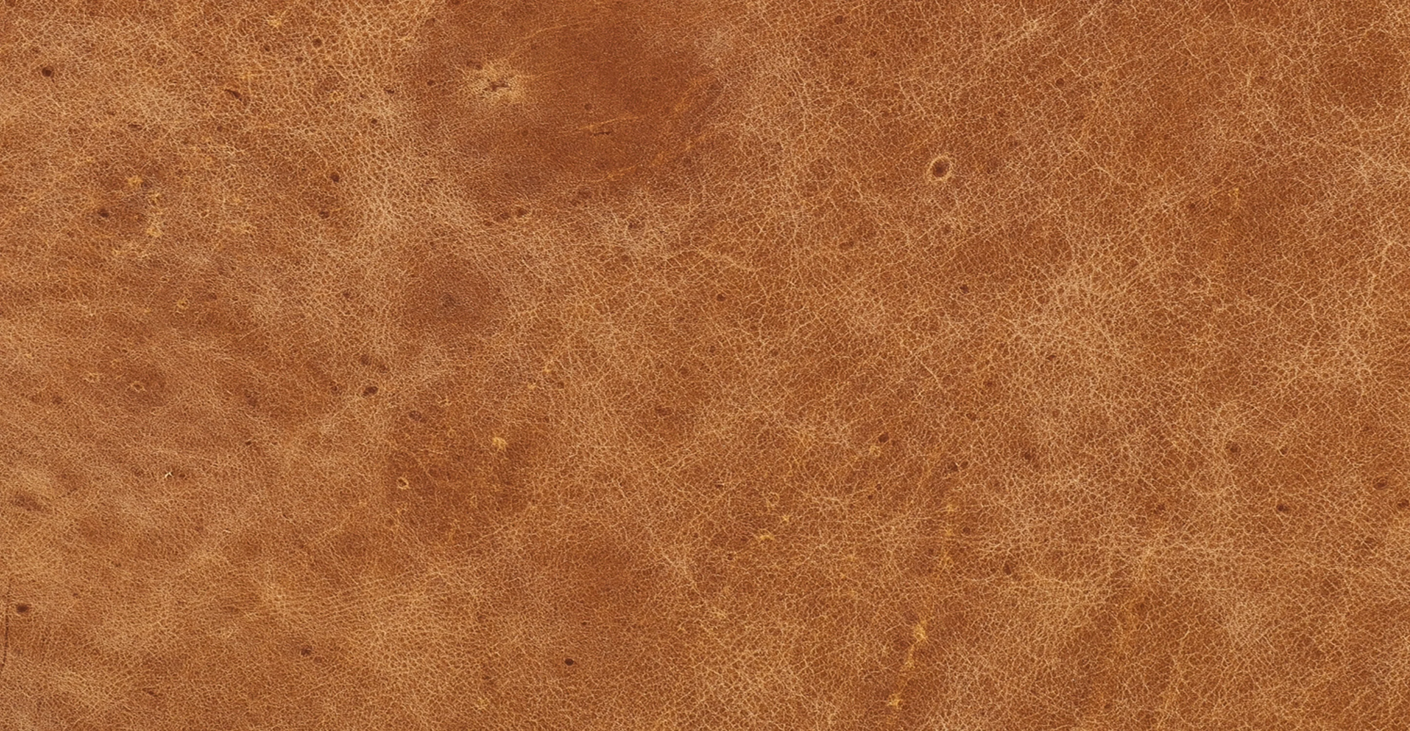 Jarmo Leather Ottoman with Walnut Table - Image 14