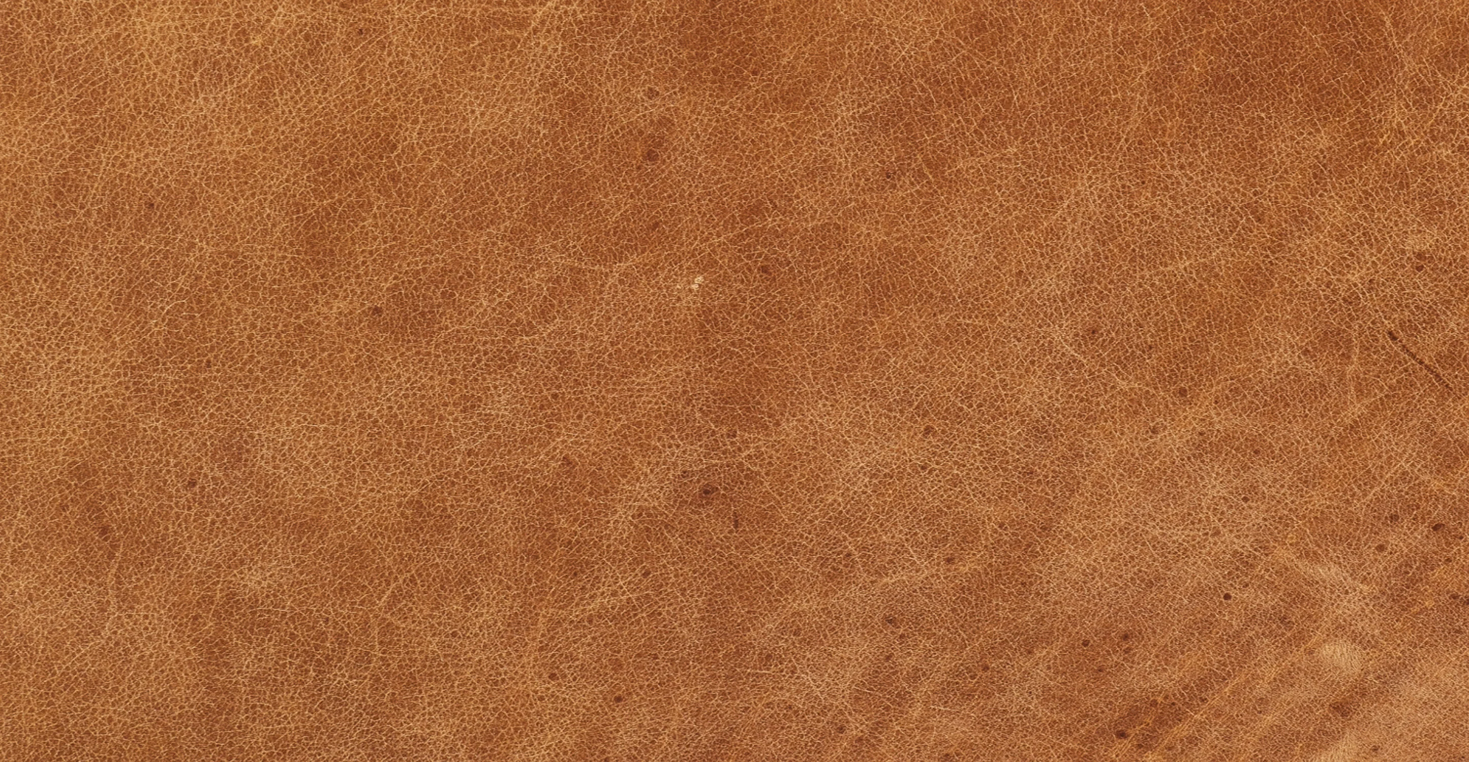 Jasper Daybed - Image 17