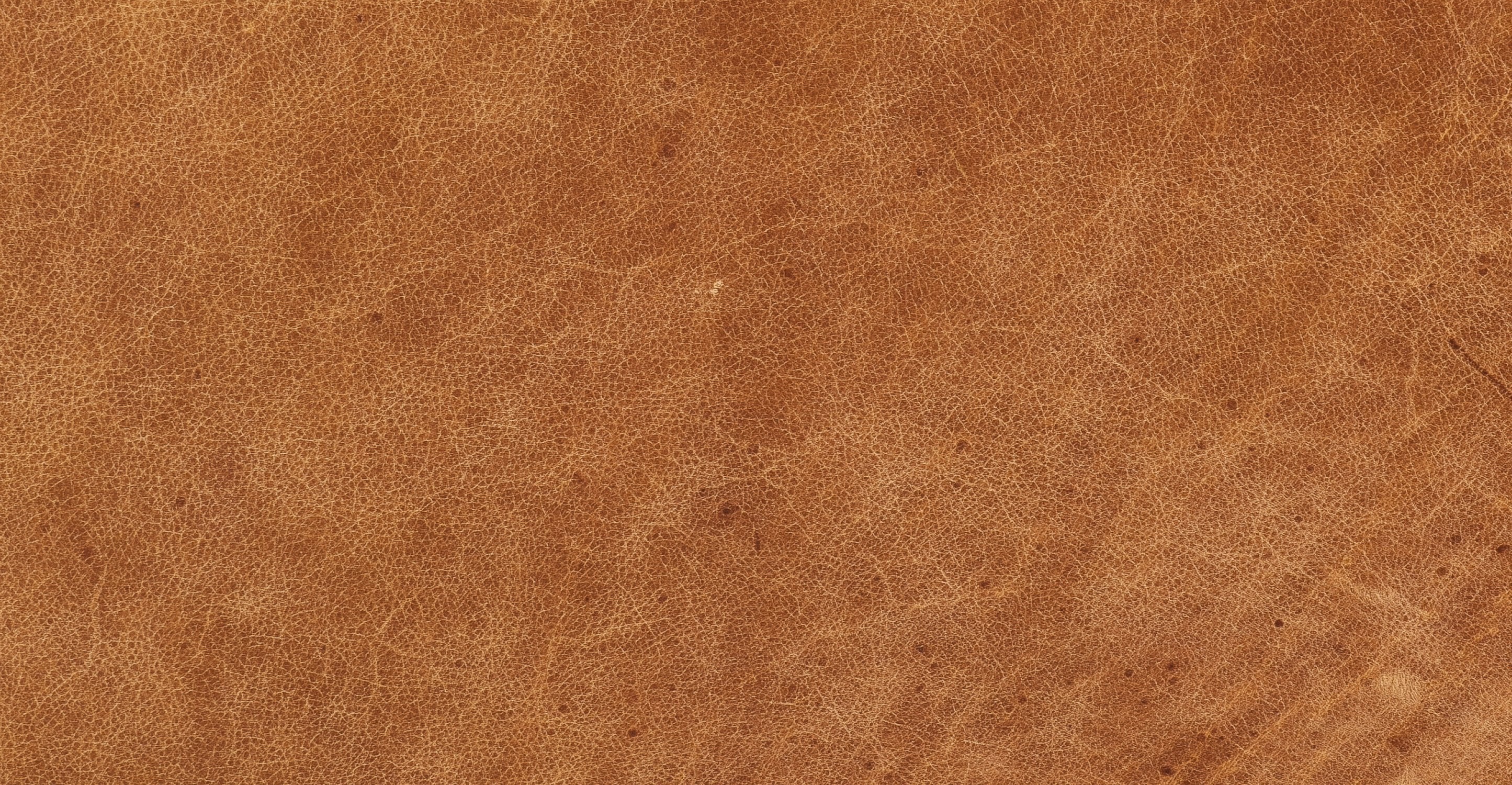 Lyon Lounge Chair - Image 14