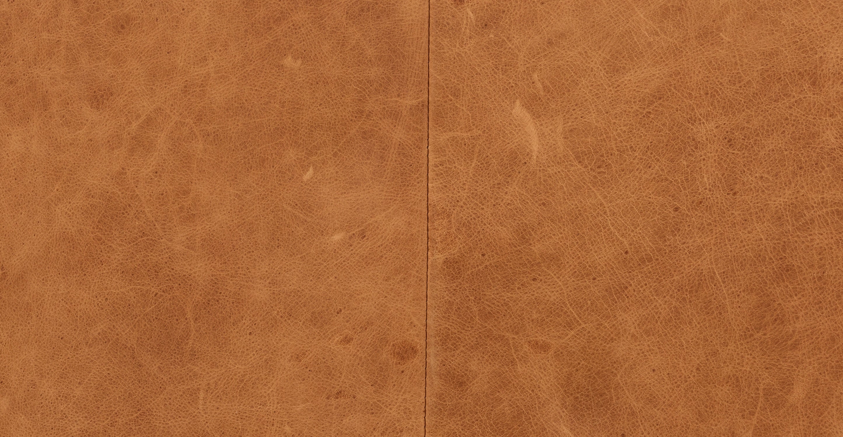 Mateo Leather Sofa - Image 17