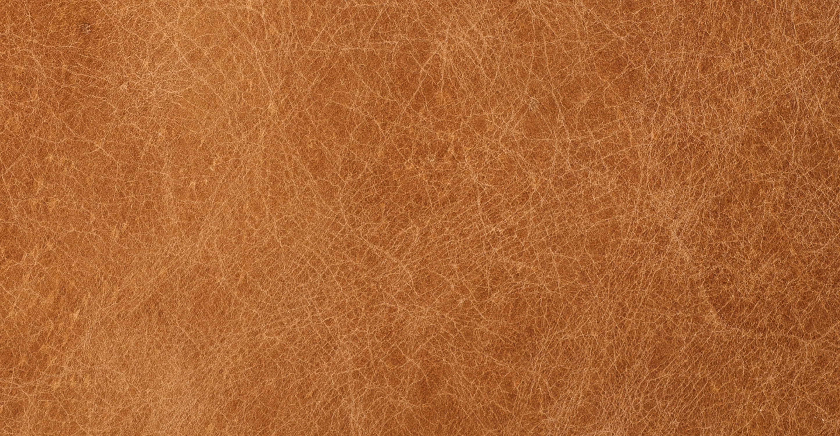 Mateo Leather Sofa - Image 19