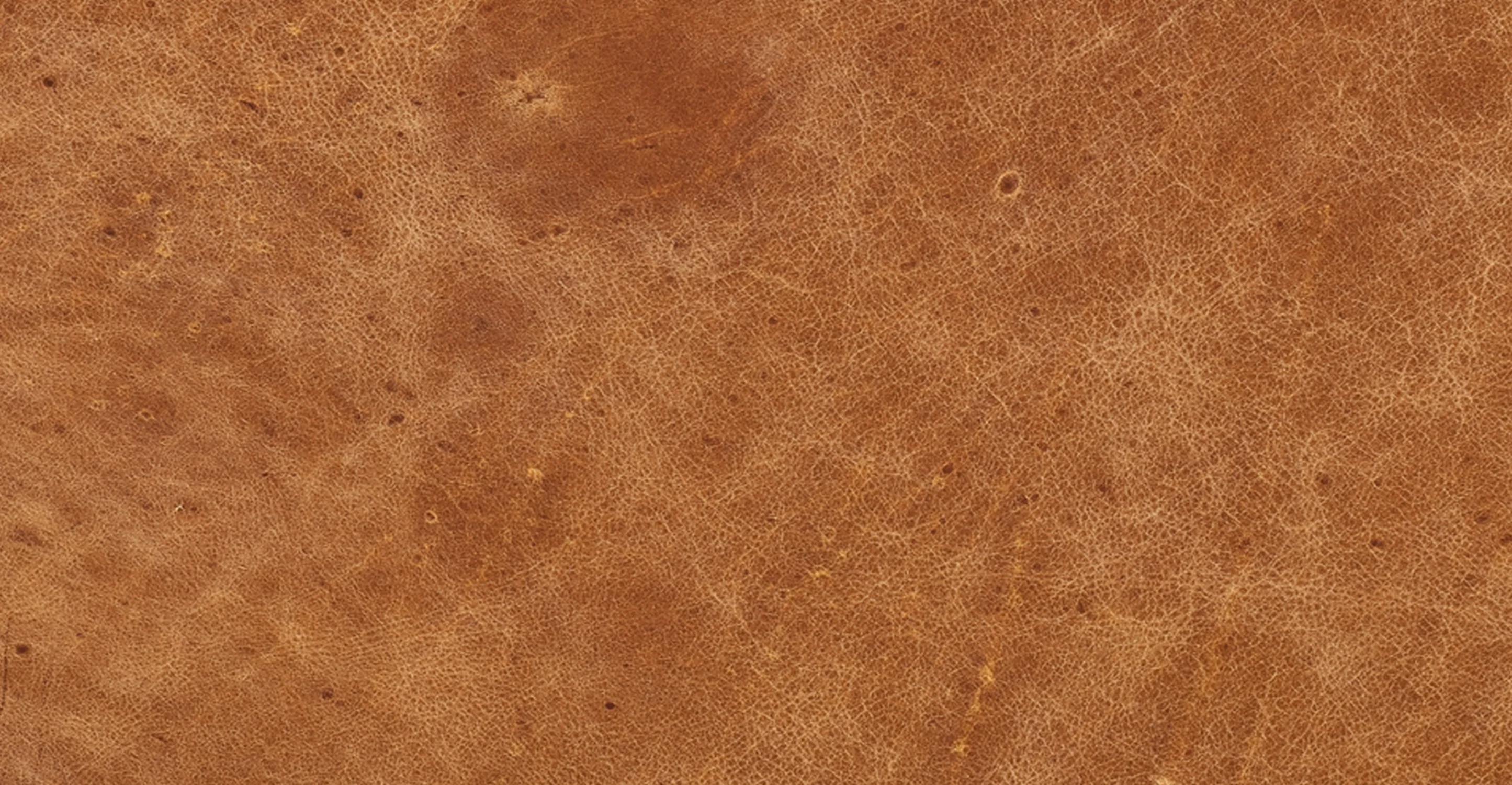 Sequoia Ottoman - Image 20