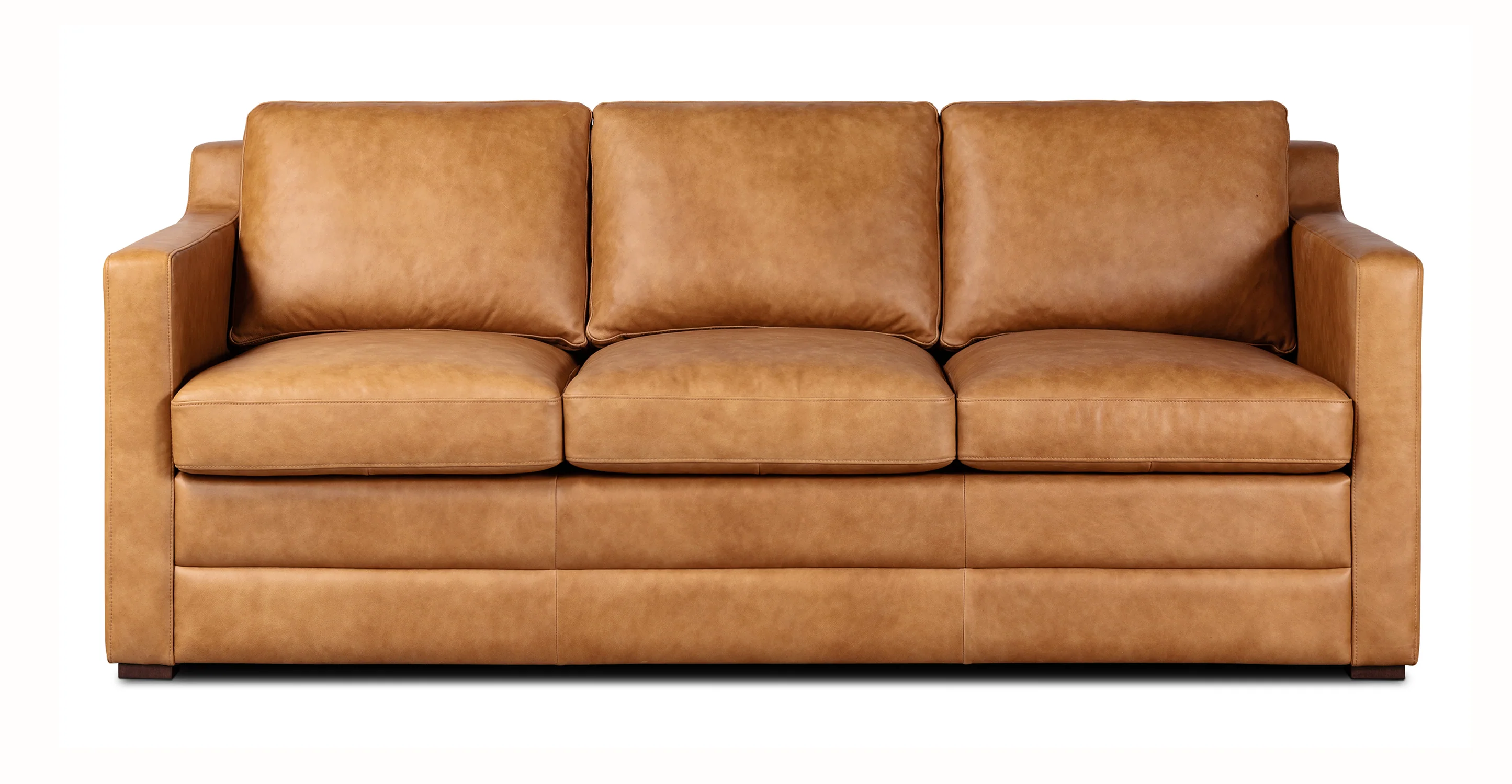 Sorrento Leather Pull-Out Convertible Sleeper Sofa - Image 2