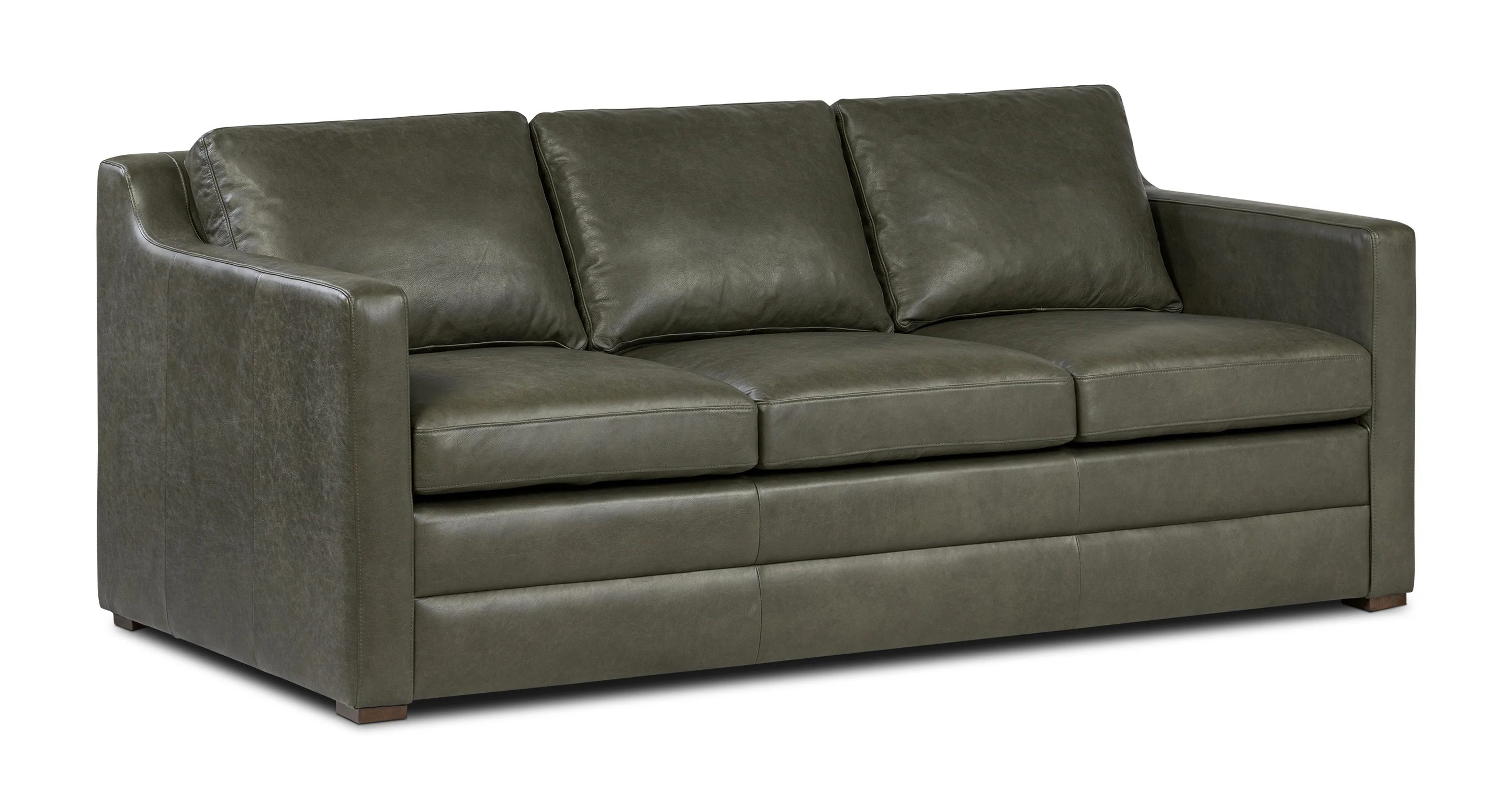 Sorrento Leather Pull-Out Convertible Sleeper Sofa - Image 25