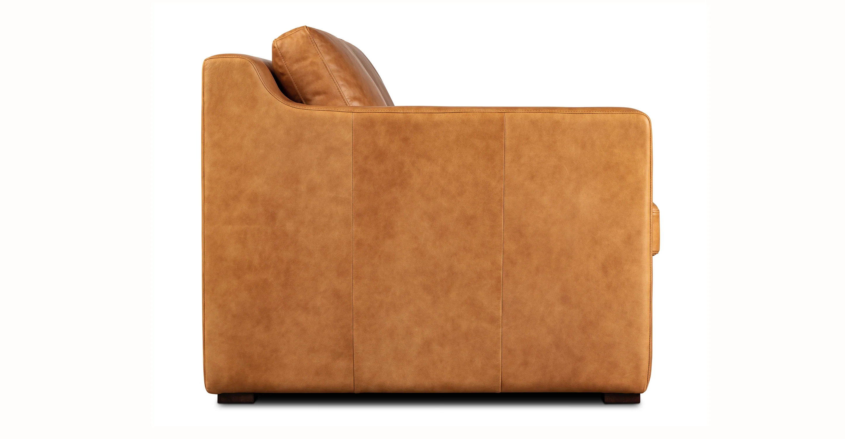 Sorrento Leather Pull-Out Convertible Sleeper Sofa - Image 9