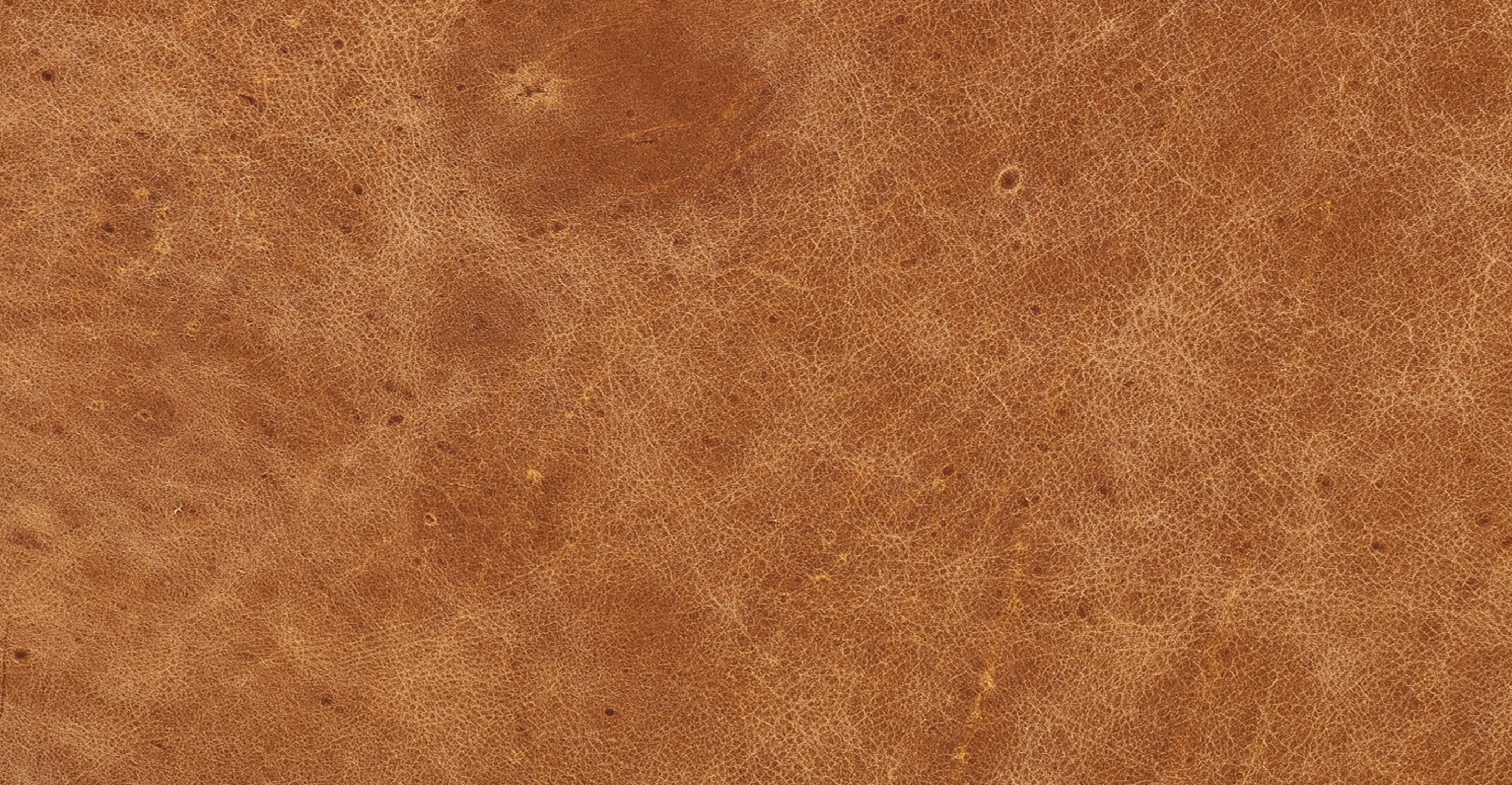 Turin Leather Ottoman - Image 29