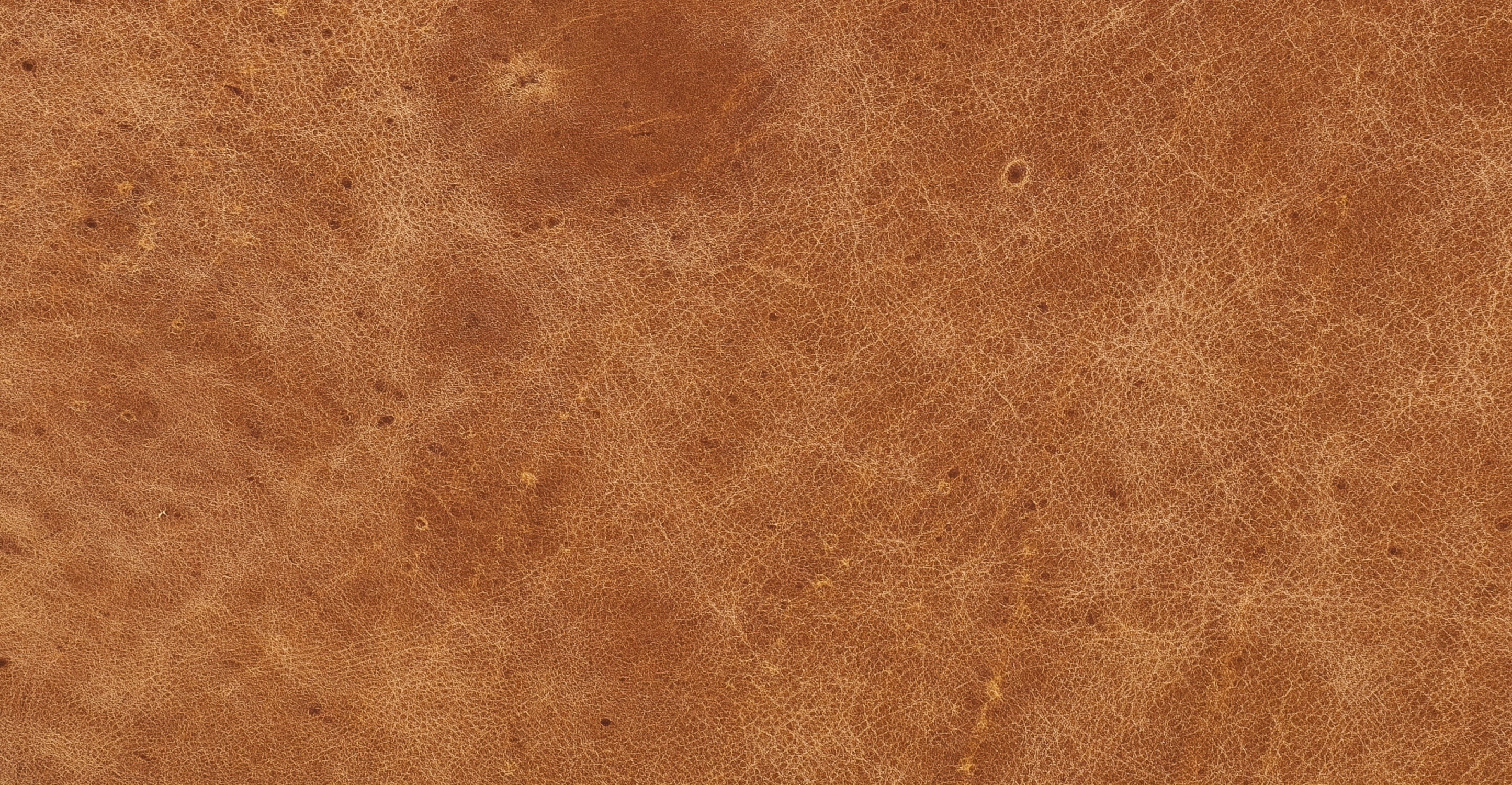 Verity Leather Lounge Chair - Image 26
