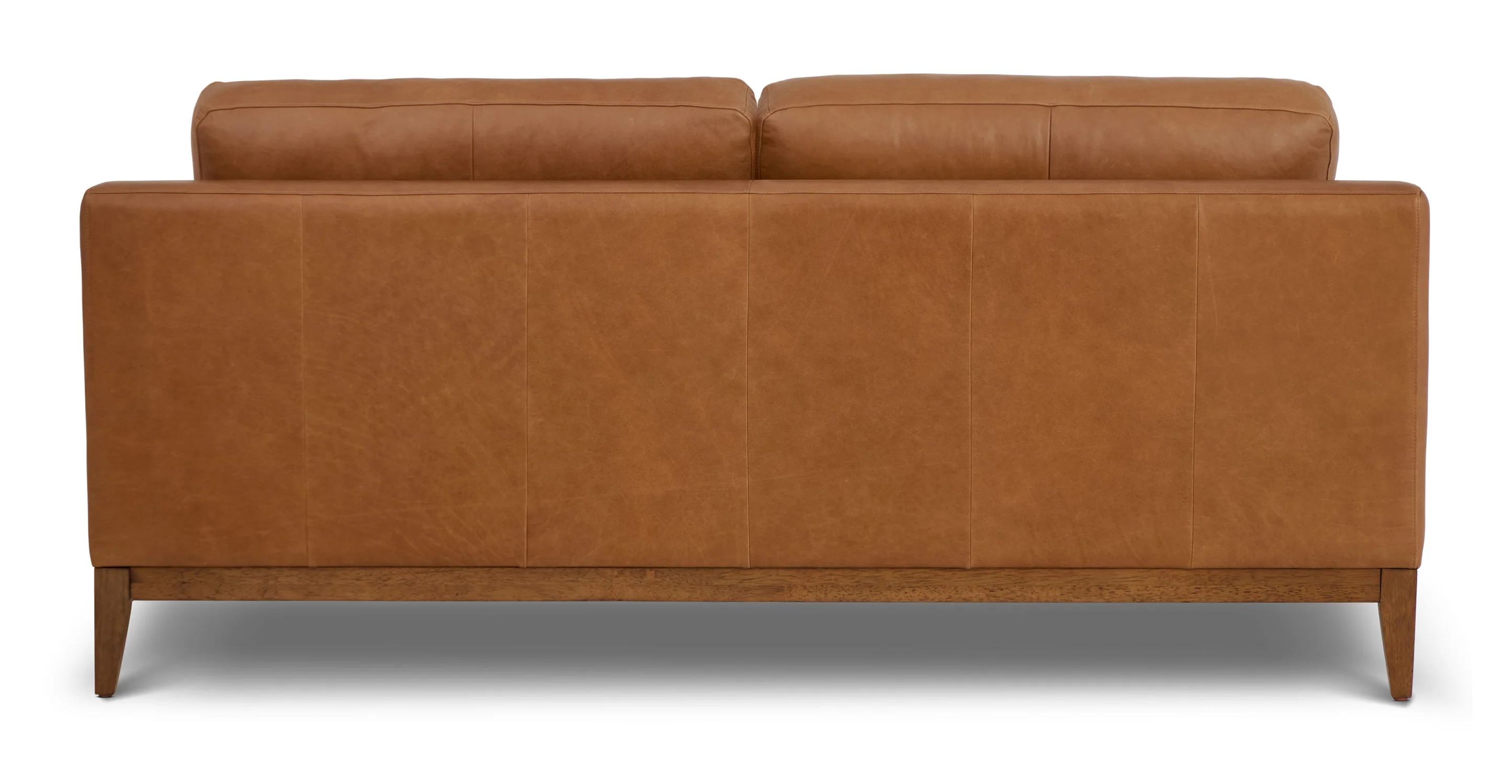 Zyon 75" Leather Apartment Sofa - Image 5