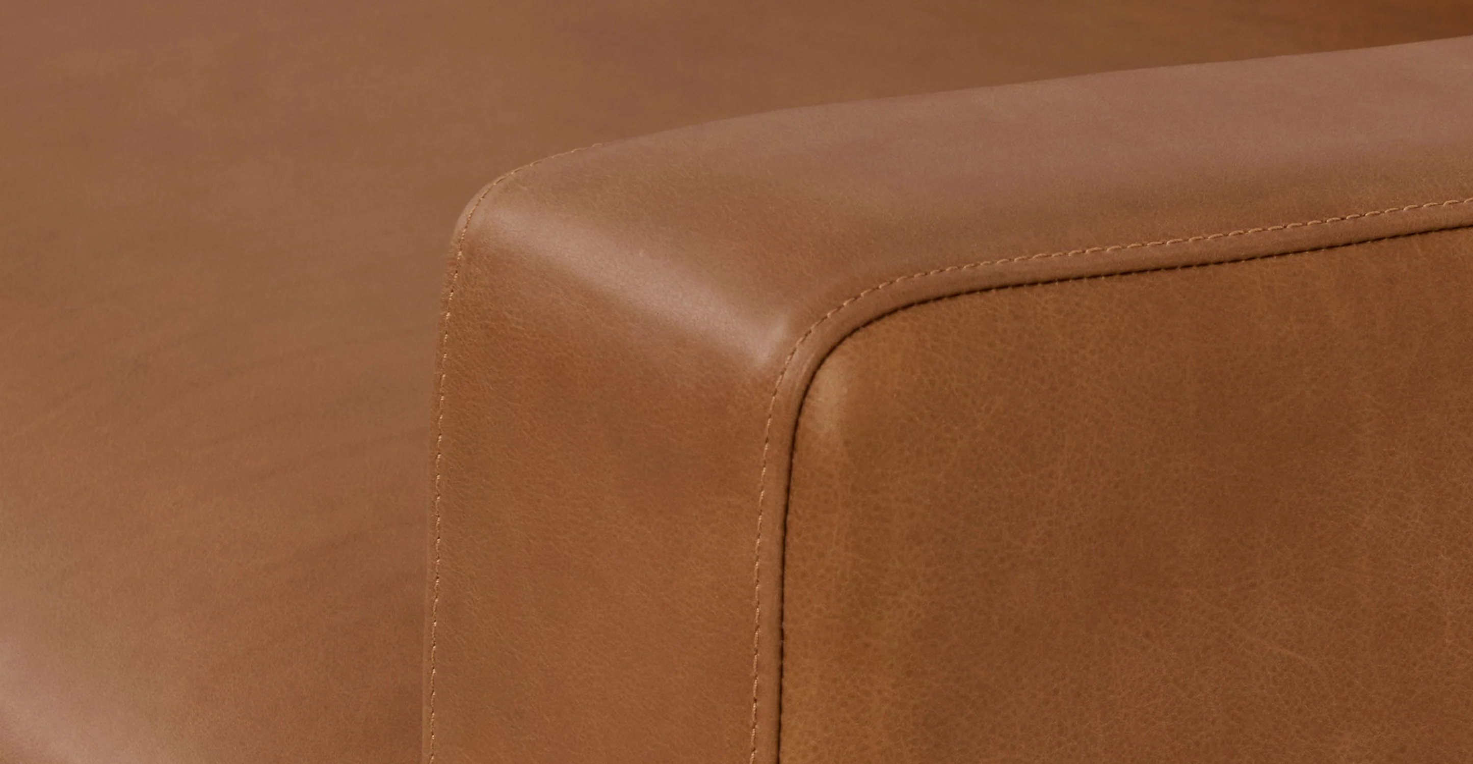 Zyon Leather Left-Facing Bumper Chaise Sectional - Image 12
